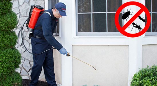 Pertek Böcek ve Haşere İlaçlama böcek ilaçlama ve haşere kontrolü — ilaclama-tr.com